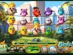 Birds!